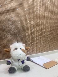 -上海首尔丽格医疗美容医院