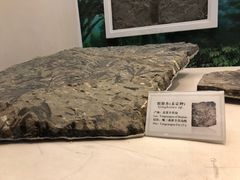 -辽宁古生物博物馆