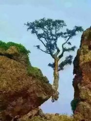 点击看大图 -煊私人定制美发会所
