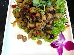 -韩江山烤肉音乐串吧(沈北新区店)