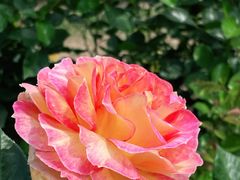 -人民公园(罗湖区)