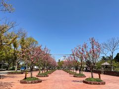 -上海野生动物园