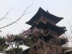 -迎泽公园