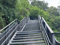 -福道