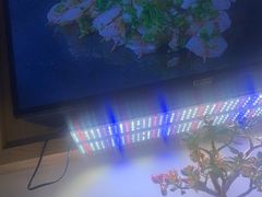 -街角等你.大连海鲜烧烤(西安路店)
