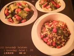 菜单-Efes Turkish & Mediterranean Cuisine 艾菲斯餐厅(陆家嘴店)