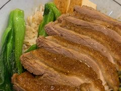 经典全鹅饭-狮头牌卤味研究所·卤味饭(花城汇南区店)