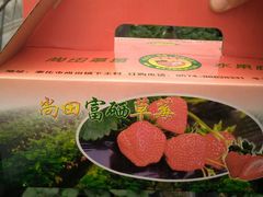 android_upload_pic-尚田草莓姑娘白草莓采摘基地
