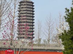 -西海子公园