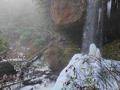 -龙苍沟森林公园