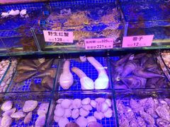 -青蓬蒸汽海鲜·深圳老字号·团建聚会(壹方城店)