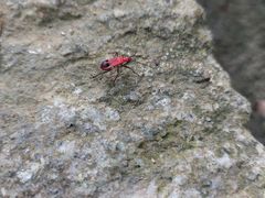 -黄埔油麻山森林公园