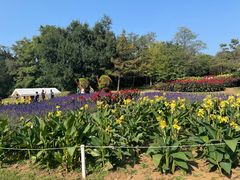 -沈阳植物园