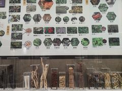 -北京中医药大学-中医药博物馆