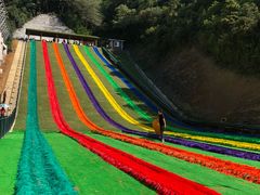 -梦幻奥陶纪景区