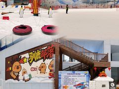 -哈尔滨热雪奇迹
