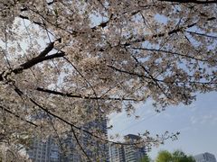 -取水楼(地铁站)