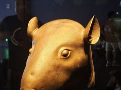 -广西壮族自治区博物馆