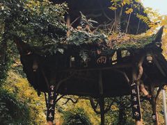 -青城山