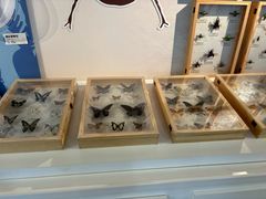 -浙江自然博物院(杭州馆)