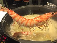 -鲜入围煮花胶鸡海鲜火锅