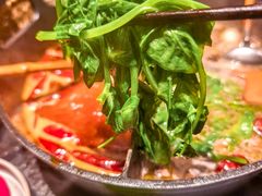 -大龙燚·旷野鲜火锅(广州首店)