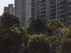 -新湖明珠城
