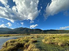 -腾冲北海湿地