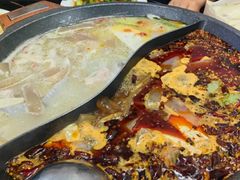 -秦巴石锅鱼(文化南路店)