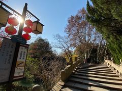 -上海醉白池公园