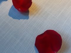 -莉莉海堂HAITANG·烤鸭(国贸商城店)