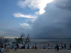 -宝安西湾红树林湿地公园