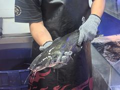 -鱼酷活鱼烤鱼(南京水游城店)