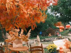 -HERRE·FARM 赫尔露营农场·团建聚会包场