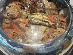 -大锅强·蒸海鲜青岛菜(金沙滩店)