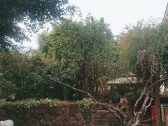 -悦哉·派对·草坪婚礼·围炉煮茶(三圣乡店)