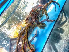 -蟹后Crabber(水悦城店)