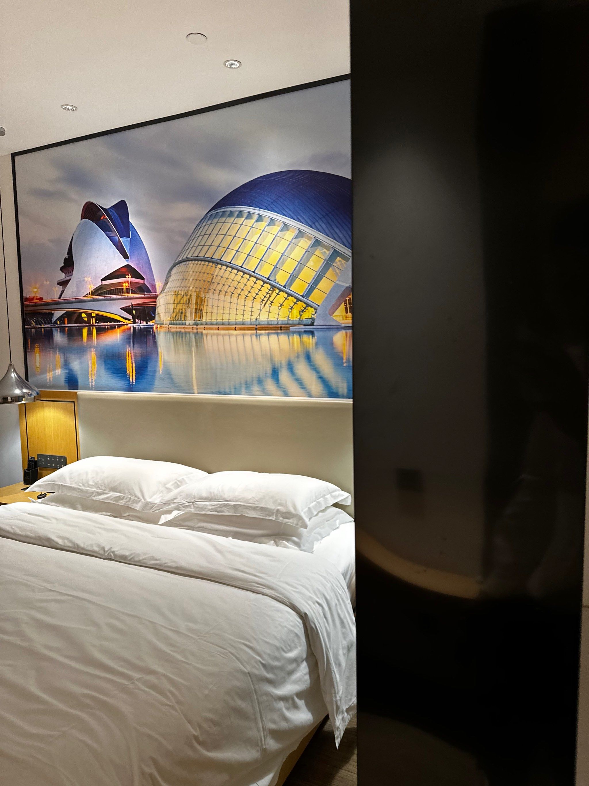 这家酒店真的让我非常惊喜!从踏入大堂的那一刻起