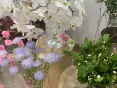 -Flower in(密渡桥店)