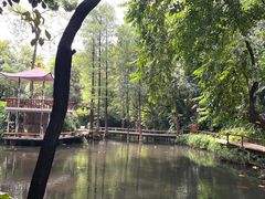 -广州兰圃