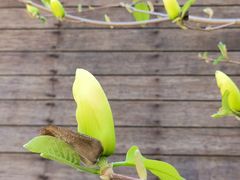 -天津东丽湖风景区