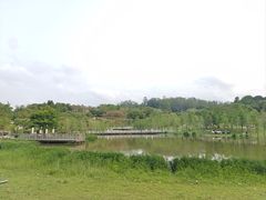 -东莞植物园