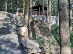 -铁山坪森林公园