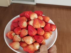-道里菜市场