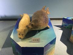 -泉城欧乐堡海洋极地世界