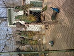 -月亮河温泉度假酒店