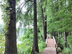 -东湖落雁景区