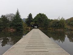 -白马涧龙池景区