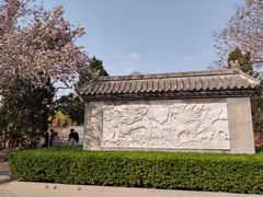 -桃花堤公园