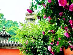 -北京石刻艺术博物馆(五塔寺)